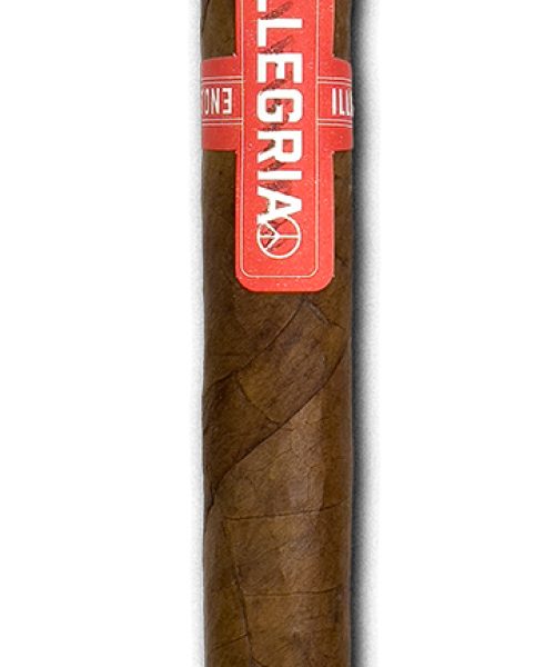 Allegria_Churchill_6-3-4x48