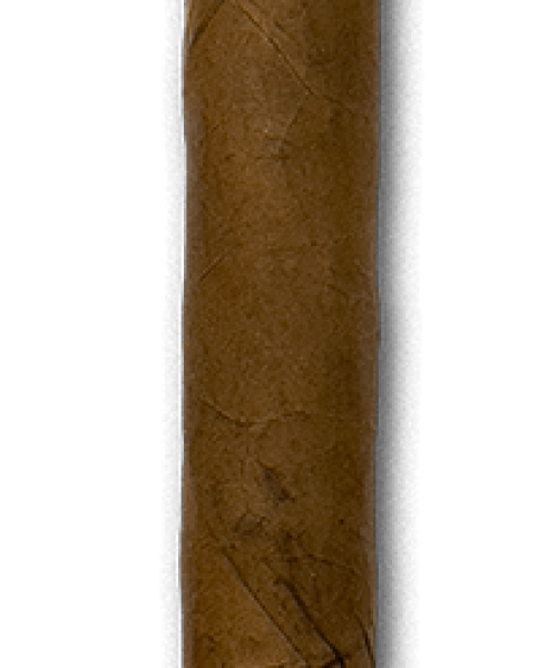 ODU_Lancero_7-1:2x40